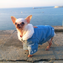 Load image into Gallery viewer, Pet Jacket