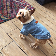 Load image into Gallery viewer, Pet Jacket