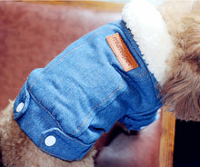 Load image into Gallery viewer, Pet Jacket