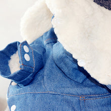 Load image into Gallery viewer, Pet Jacket