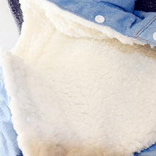 Load image into Gallery viewer, Pet Jacket