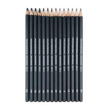 Load image into Gallery viewer, Professional Sketch Pencils
