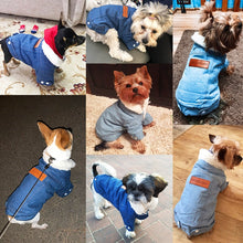 Load image into Gallery viewer, Pet Jacket

