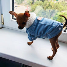 Load image into Gallery viewer, Pet Jacket
