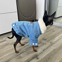 Load image into Gallery viewer, Pet Jacket
