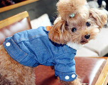 Load image into Gallery viewer, Pet Jacket
