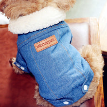 Load image into Gallery viewer, Pet Jacket
