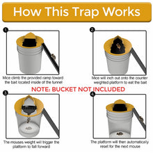 Load image into Gallery viewer, Reusable &amp; Humane Mouse Trap
